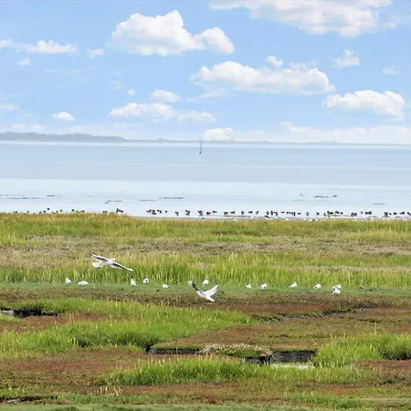 0278-romo-vestergade-3-ap-23 *