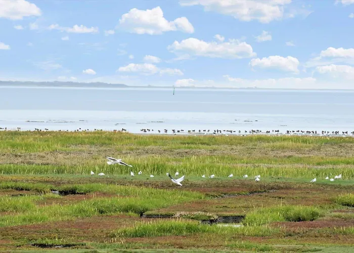 0278-romo-vestergade-3-ap-23